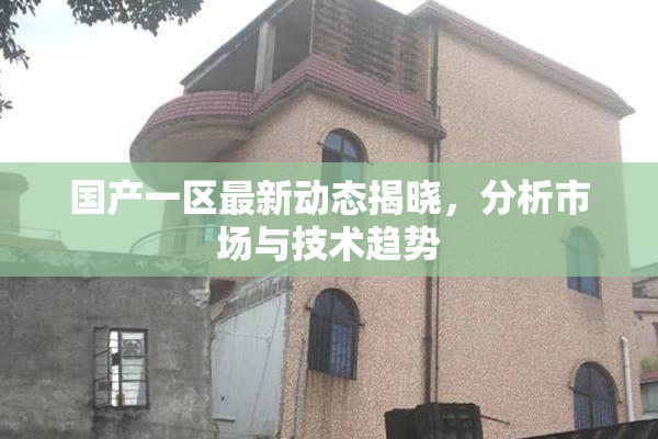 国产一区最新动态揭晓，分析市场与技术趋势