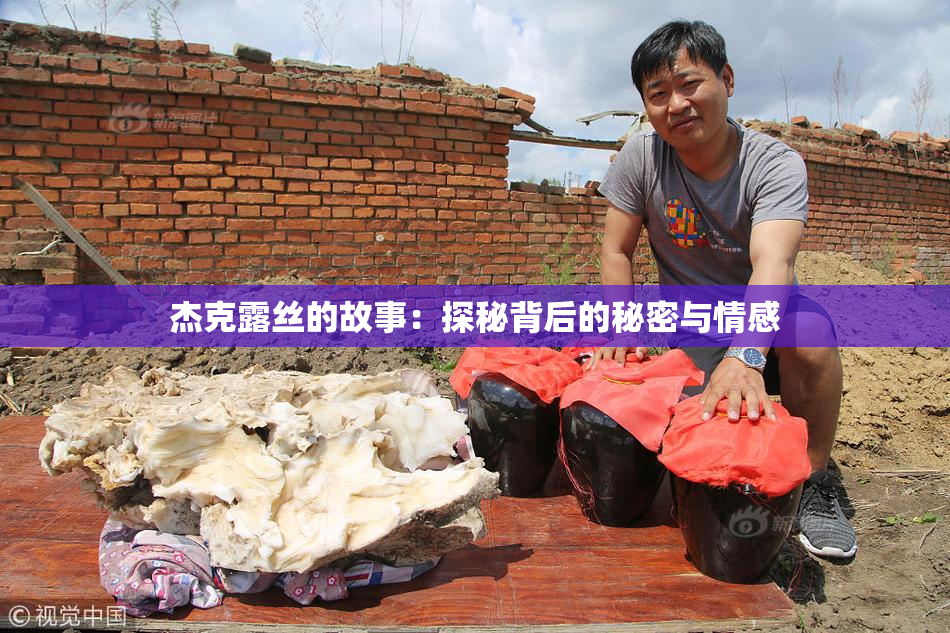 杰克露丝的故事：探秘背后的秘密与情感