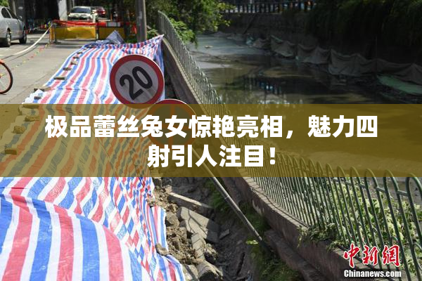 极品蕾丝兔女惊艳亮相，魅力四射引人注目！