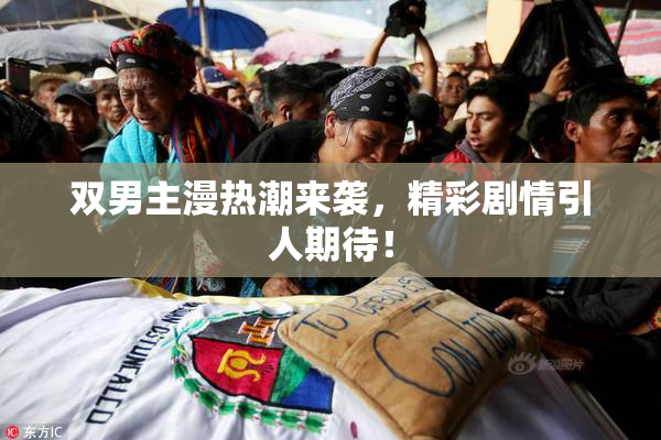 双男主漫热潮来袭，精彩剧情引人期待！