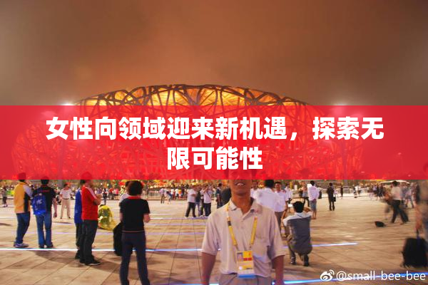 女性向领域迎来新机遇，探索无限可能性