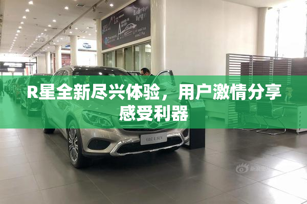 R星全新尽兴体验，用户激情分享感受利器