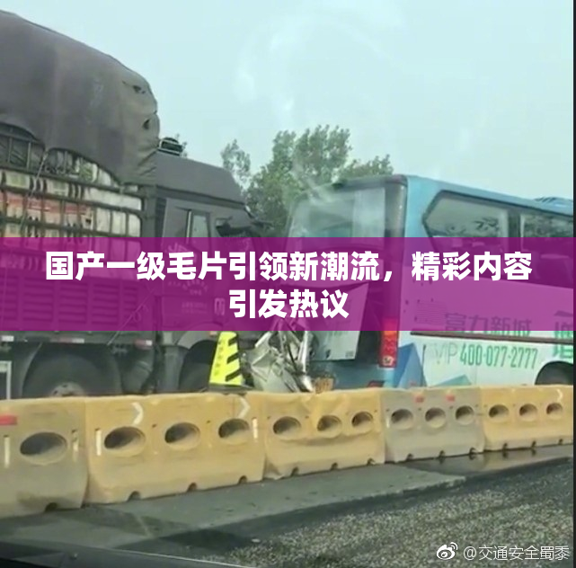 国产一级毛片引领新潮流，精彩内容引发热议