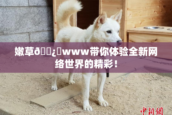 嫩草🌿‌www带你体验全新网络世界的精彩！