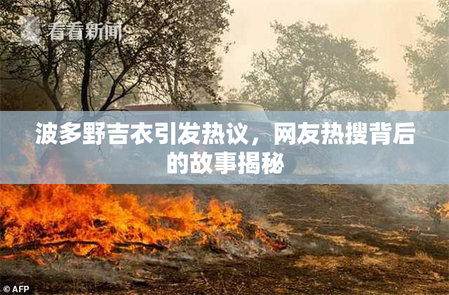 波多野吉衣引发热议，网友热搜背后的故事揭秘