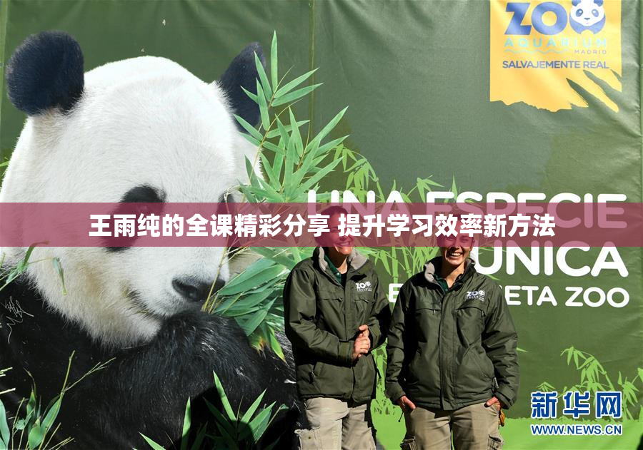 王雨纯的全课精彩分享 提升学习效率新方法