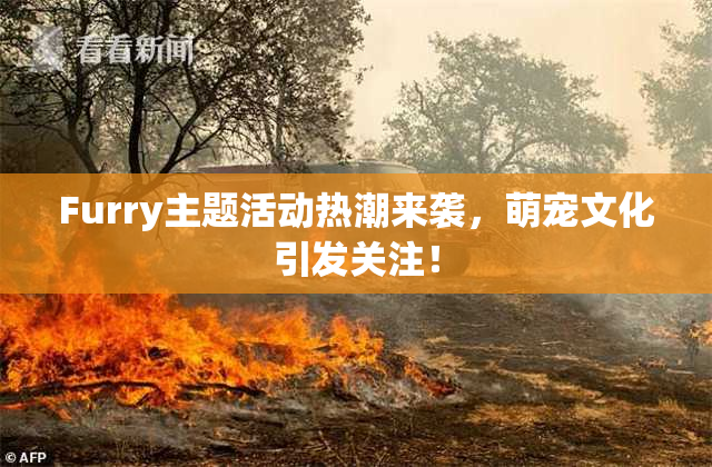 Furry主题活动热潮来袭，萌宠文化引发关注！