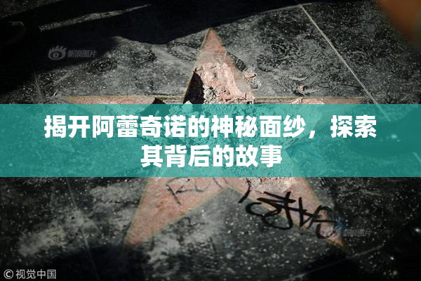 揭开阿蕾奇诺的神秘面纱，探索其背后的故事