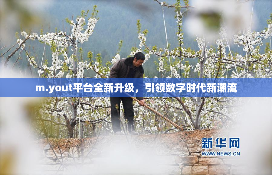 m.yout平台全新升级，引领数字时代新潮流