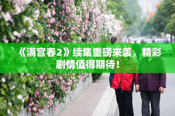 《满宫春2》续集重磅来袭，精彩剧情值得期待！