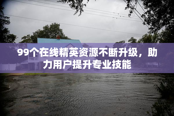 99个在线精英资源不断升级，助力用户提升专业技能