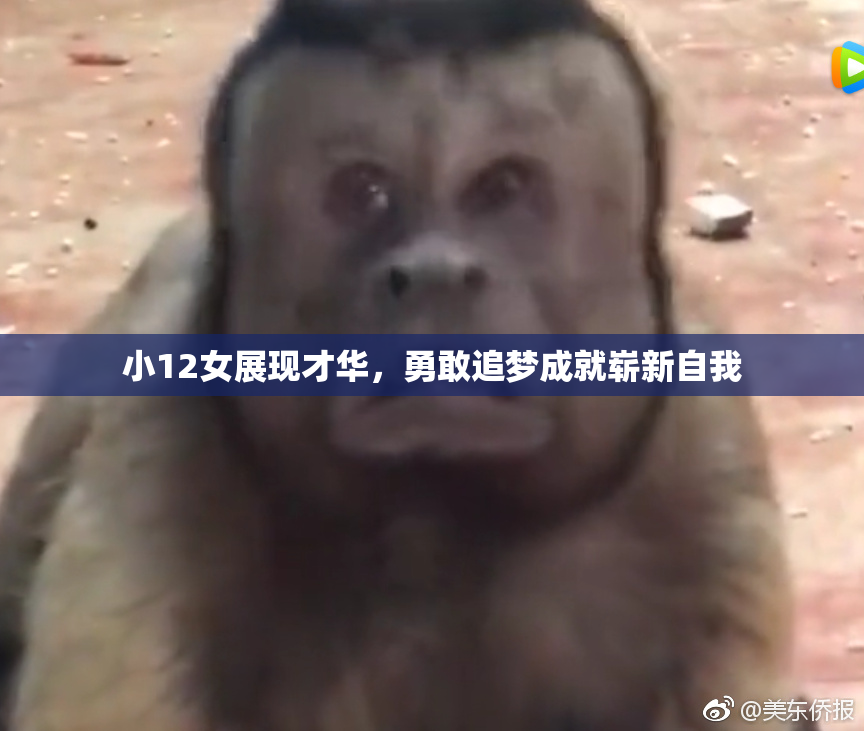 小12女展现才华，勇敢追梦成就崭新自我
