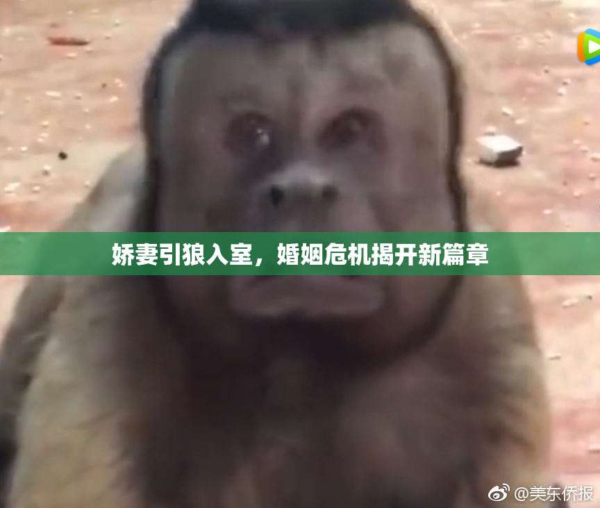 娇妻引狼入室，婚姻危机揭开新篇章