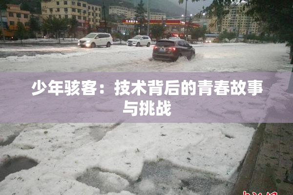 少年骇客：技术背后的青春故事与挑战