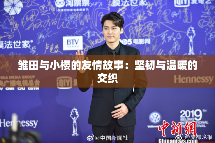 雏田与小樱的友情故事：坚韧与温暖的交织