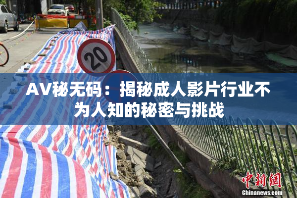 AV秘无码：揭秘成人影片行业不为人知的秘密与挑战