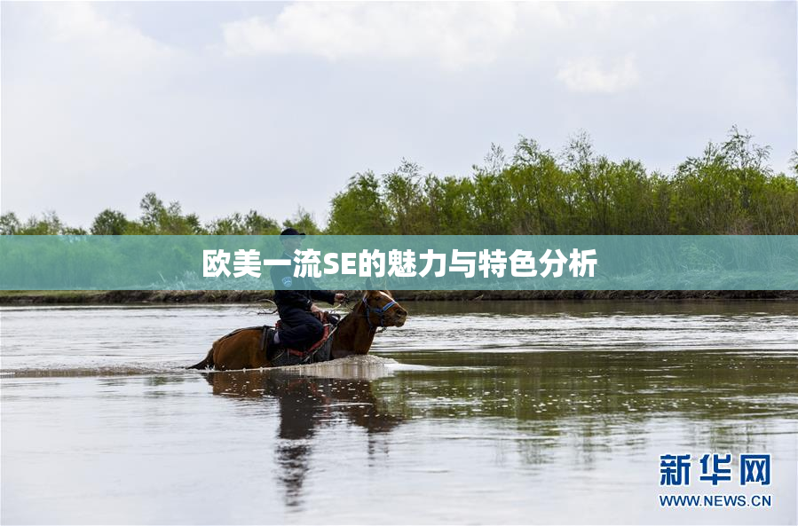 欧美一流SE的魅力与特色分析