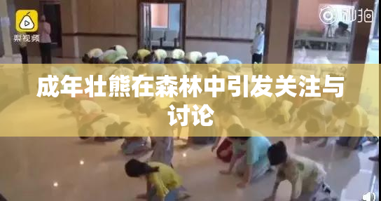 成年壮熊在森林中引发关注与讨论
