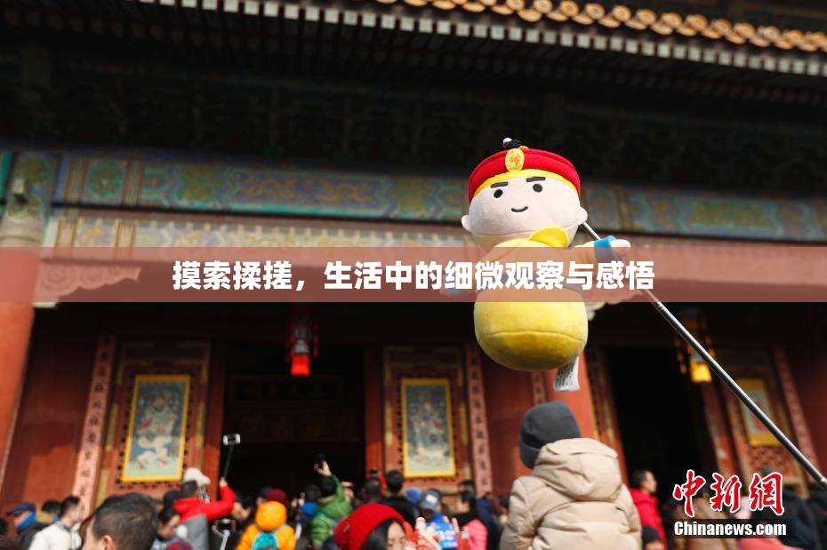 摸索揉搓，生活中的细微观察与感悟