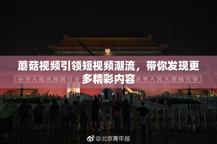 蘑菇视频引领短视频潮流，带你发现更多精彩内容