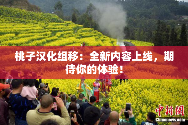 桃子汉化组移：全新内容上线，期待你的体验！