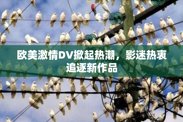 欧美激情DV掀起热潮，影迷热衷追逐新作品