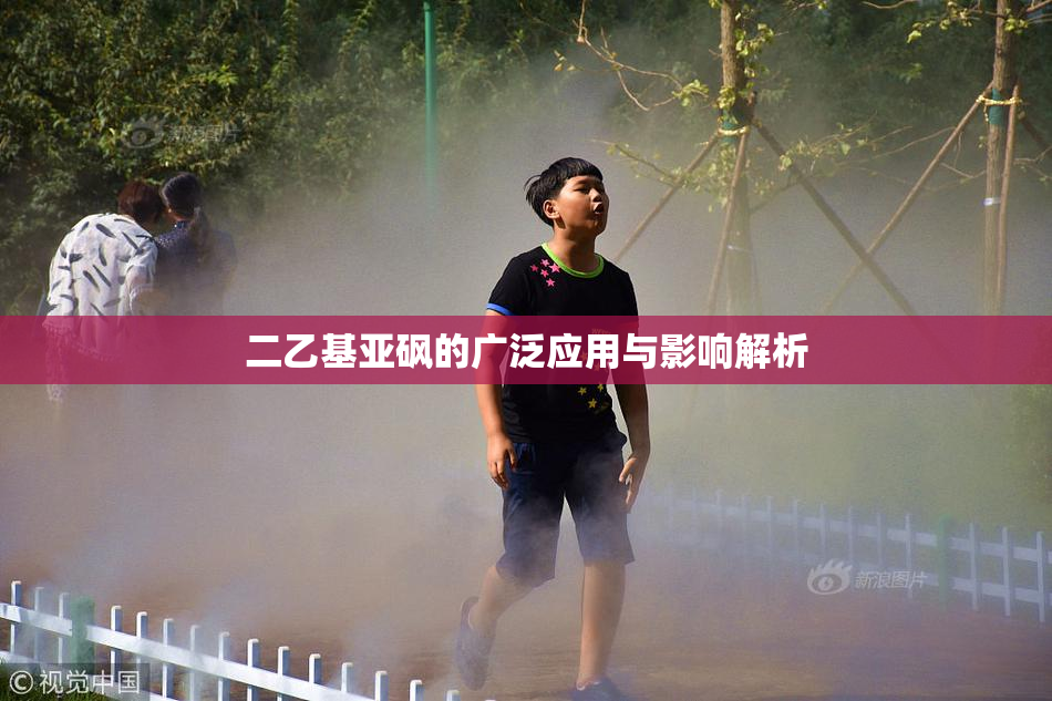 二乙基亚砜的广泛应用与影响解析