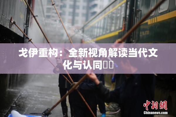 戈伊重构：全新视角解读当代文化与认同問題