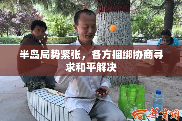 半岛局势紧张，各方捆绑协商寻求和平解决