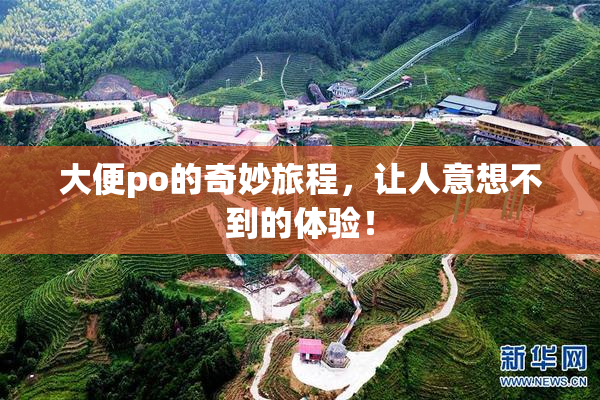 大便po的奇妙旅程，让人意想不到的体验！