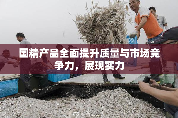 国精产品全面提升质量与市场竞争力，展现实力