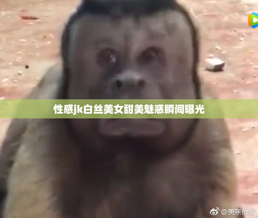 性感jk白丝美女甜美魅惑瞬间曝光
