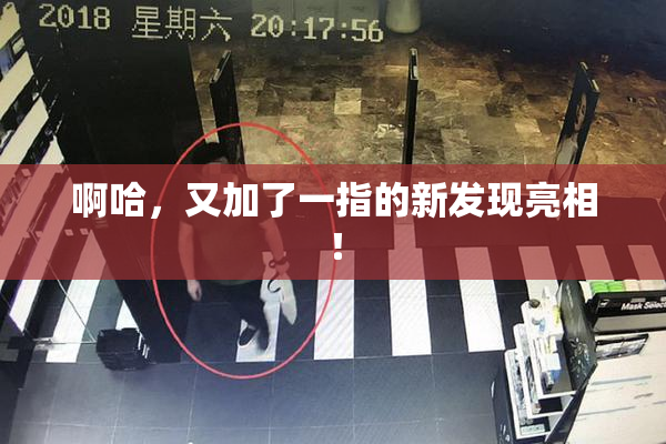 啊哈，又加了一指的新发现亮相！