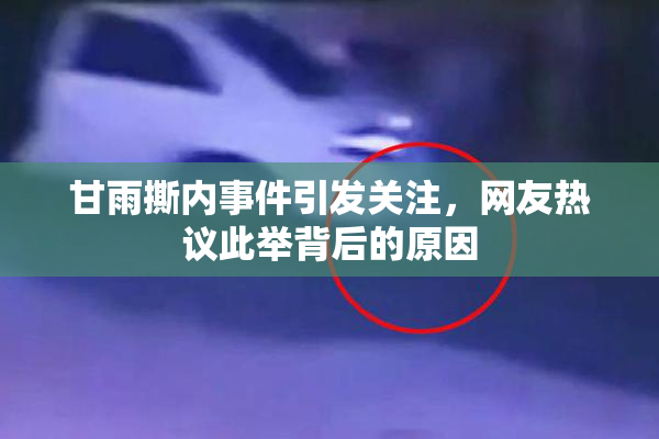 甘雨撕内事件引发关注，网友热议此举背后的原因