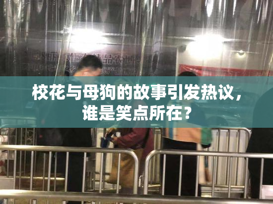 校花与母狗的故事引发热议，谁是笑点所在？