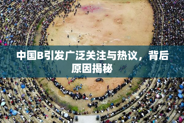中国B引发广泛关注与热议，背后原因揭秘