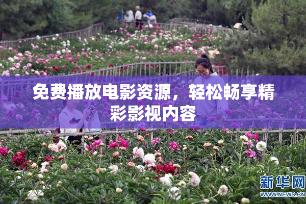免费播放电影资源，轻松畅享精彩影视内容