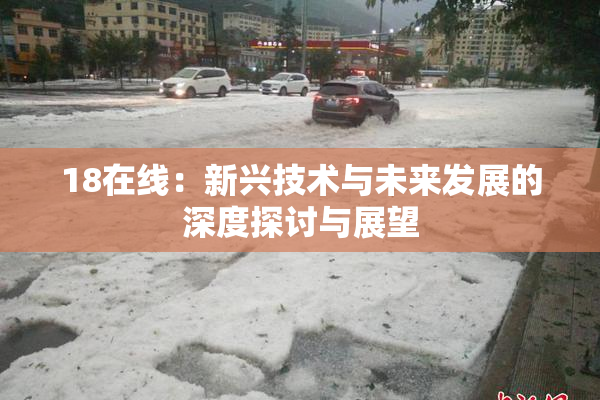 18在线：新兴技术与未来发展的深度探讨与展望