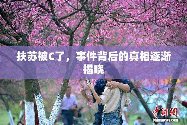 扶苏被C了，事件背后的真相逐渐揭晓