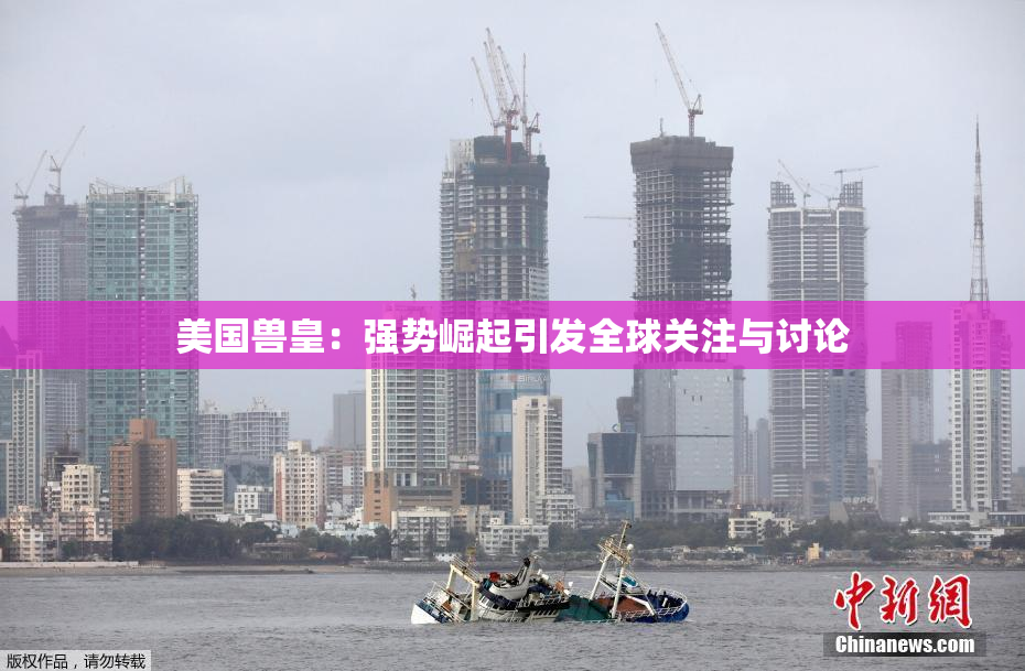 美国兽皇：强势崛起引发全球关注与讨论