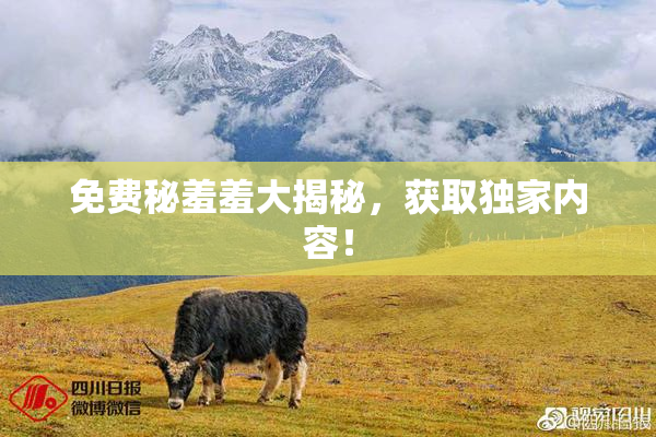 免费秘羞羞大揭秘，获取独家内容！