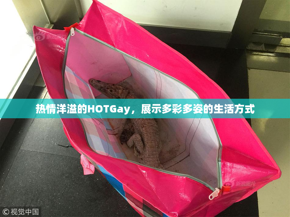 热情洋溢的HOTGay，展示多彩多姿的生活方式