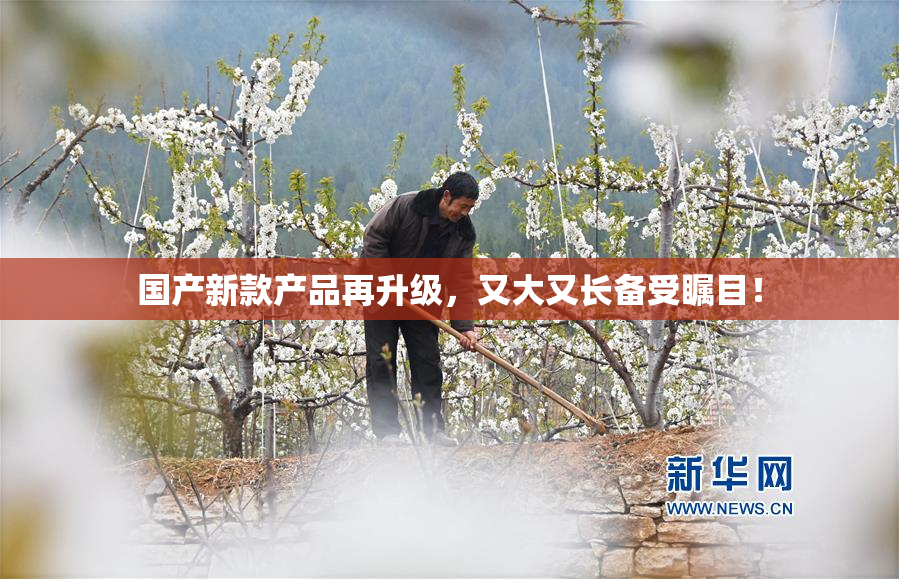 国产新款产品再升级，又大又长备受瞩目！
