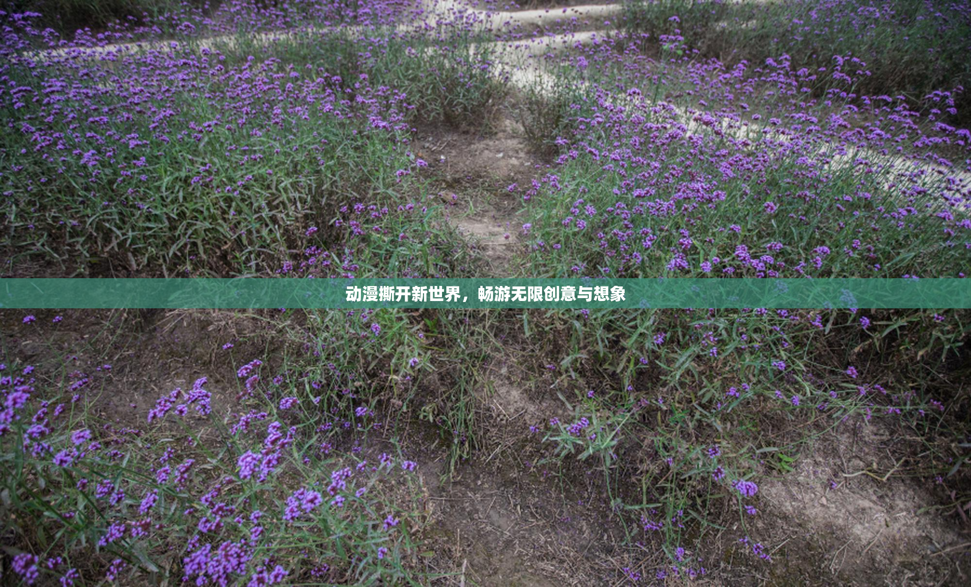动漫撕开新世界，畅游无限创意与想象