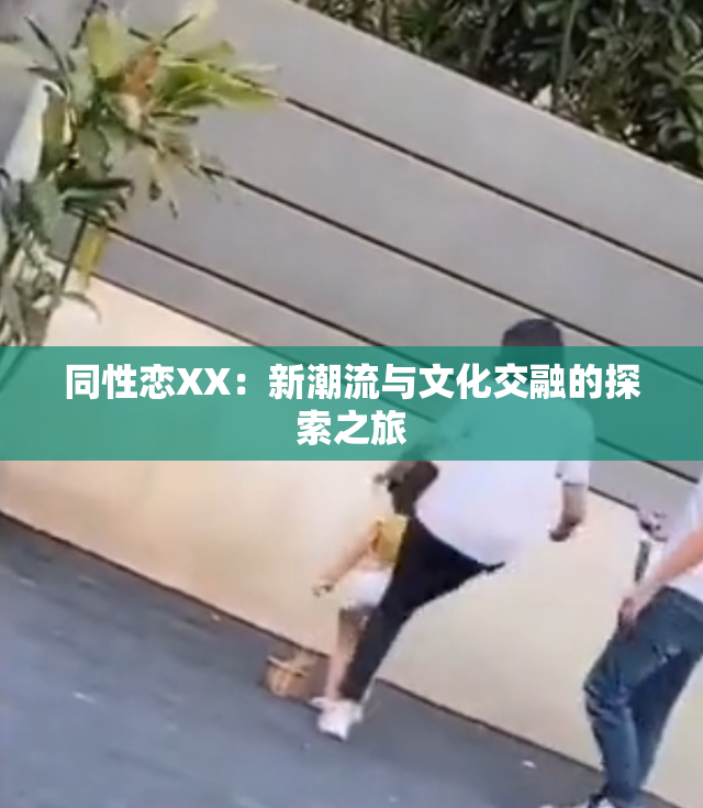 同性恋XX：新潮流与文化交融的探索之旅