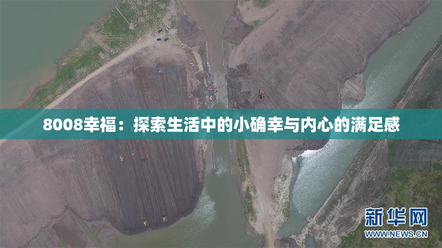 8008幸福：探索生活中的小确幸与内心的满足感