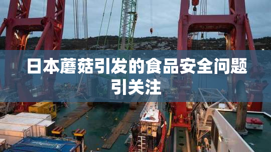 日本蘑菇引发的食品安全问题引关注