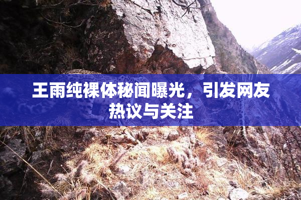 王雨纯裸体秘闻曝光，引发网友热议与关注