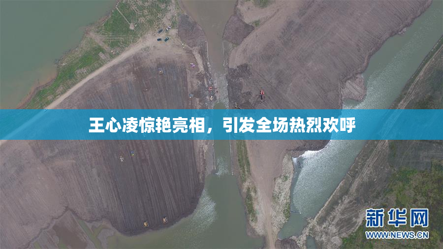 王心凌惊艳亮相，引发全场热烈欢呼