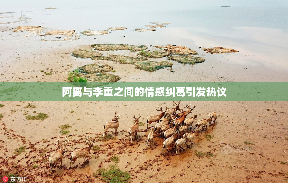 阿离与李重之间的情感纠葛引发热议